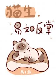 ����ү��è����������