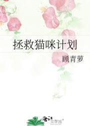 ����è��ƻ�